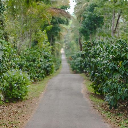 Belvilla The School Estate- Luxury Heritage Home In 200 Acres Madikeri Exterior foto